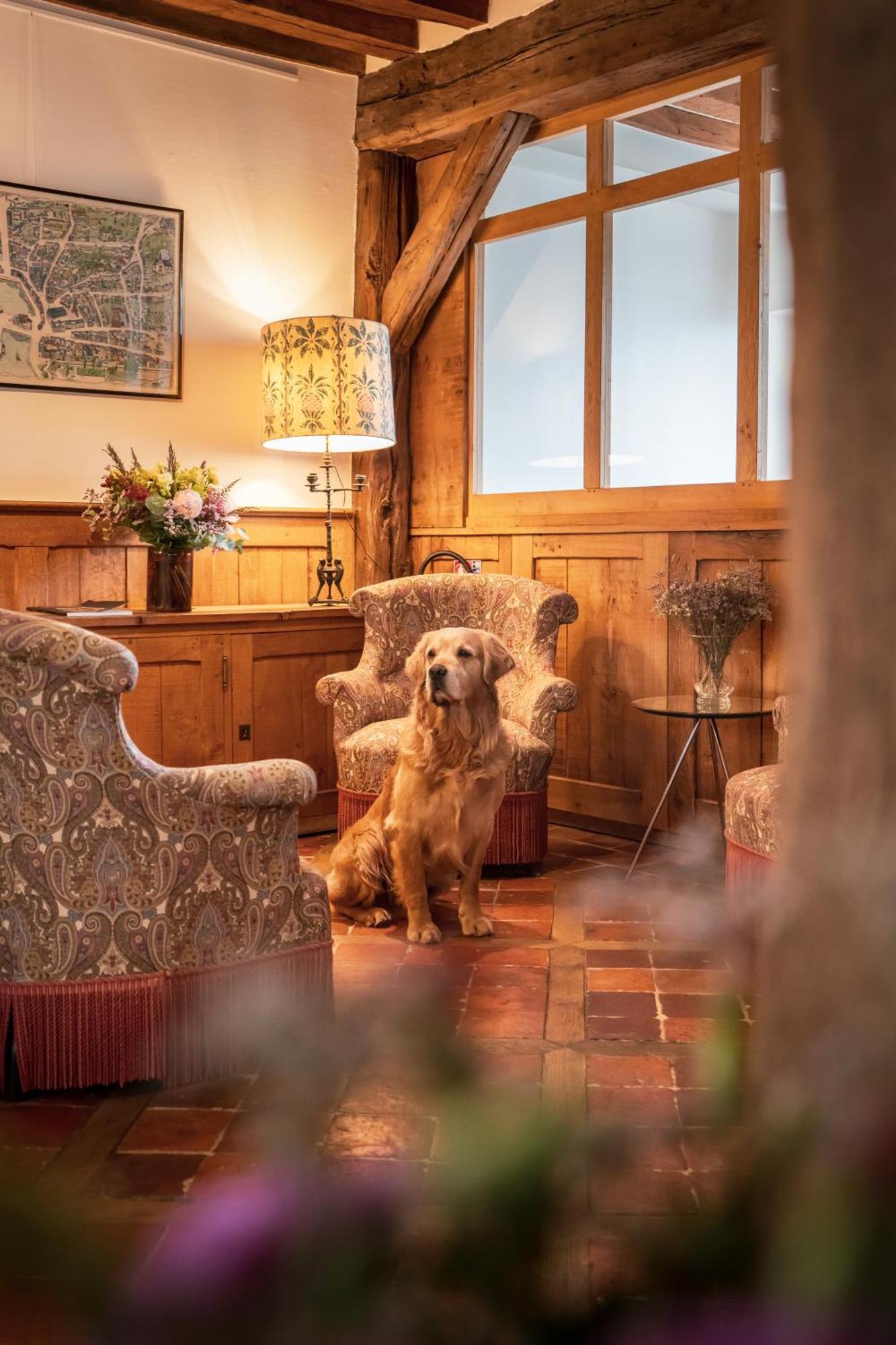 L'Absinthe Hotel Honfleur Zewnętrze zdjęcie